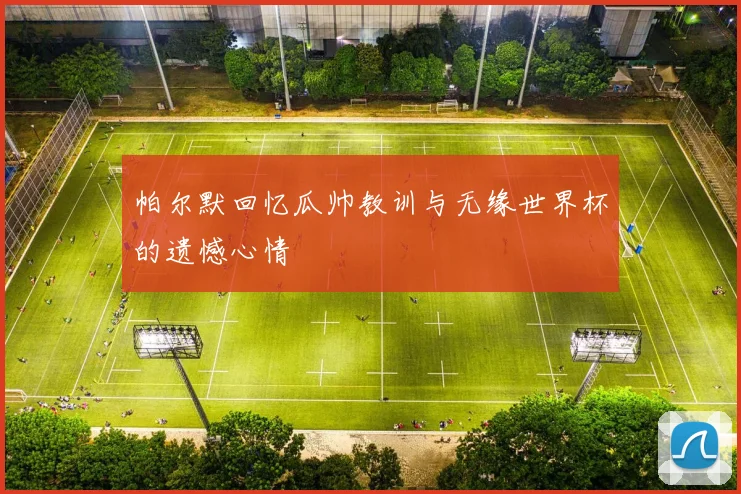 帕尔默回忆瓜帅教训与无缘世界杯的遗憾心情