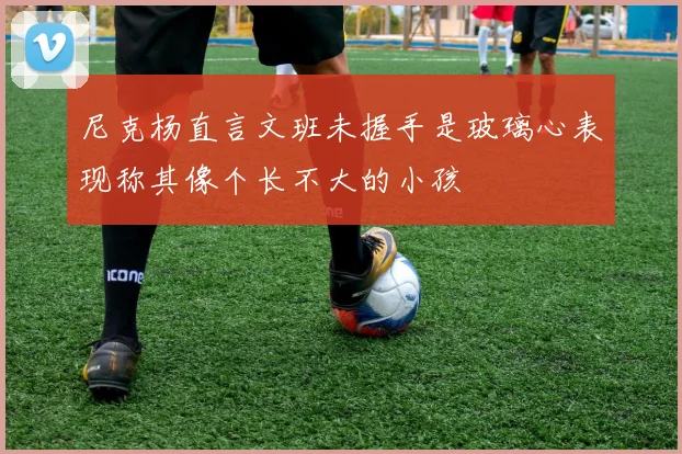 尼克杨直言文班未握手是玻璃心表现称其像个长不大的小孩